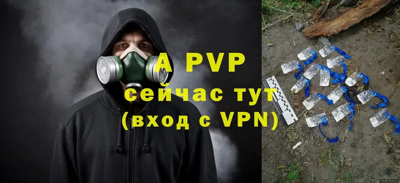 дарк нет как зайти  Дмитровск  Alpha-PVP СК 